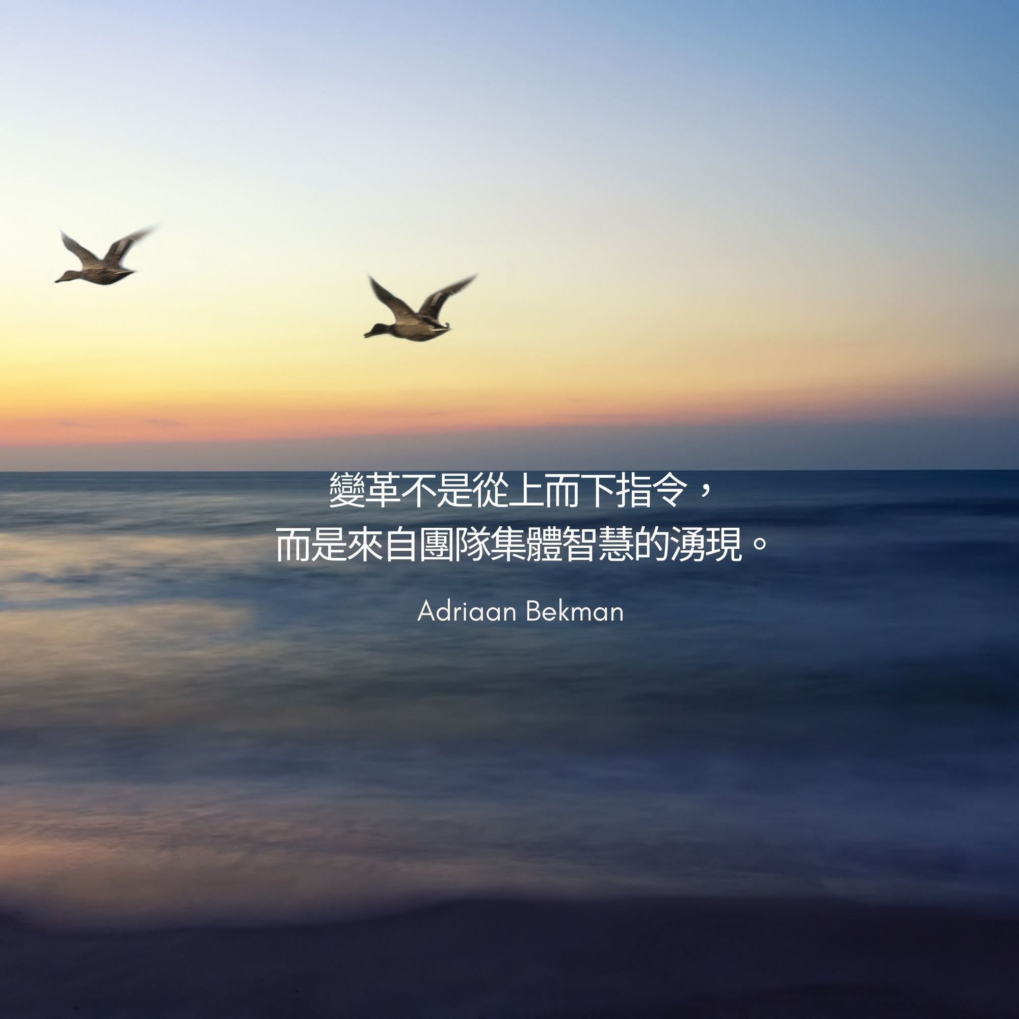 Adriaan Bekman 變革不是從上而下指令，而是來自團隊集體智慧的湧現。